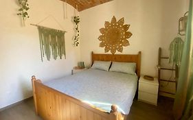 La Casa Rosa